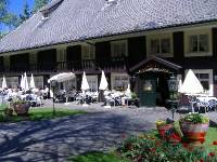 Parkhotel Adler Hinterzarten (3) 